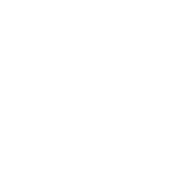 Office for Astronomy Outreach Logo